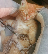 ����������è����������