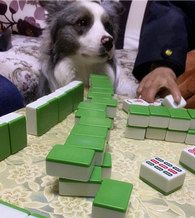 ��majiang�������Ҳ�һ����