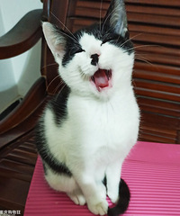 ���������ٹ㳡è�������