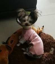 �մ����ؼҾͻ���1000��