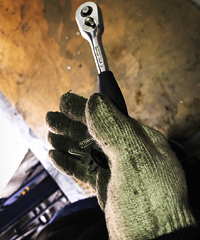 ���ֹ�˾������һ�죬�����������·�ϵ����