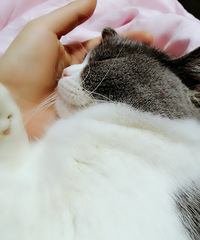 ڼ䣬ҶڼҸʲôʱ䣿