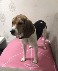 �Լҵıȸ��������������