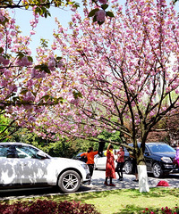 լ����ӣ�����������ʵ��ѧ��ӣ��̫����