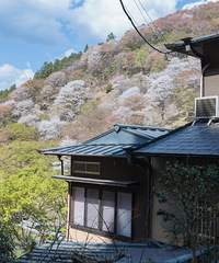 �򿨡�������֡�ʥ�أ�����ӣ����������Щ��ʳ