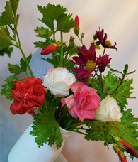 �����۲�Ҷ����ƿ��