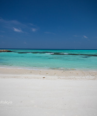 Բ���������򡪡����񵺶ȼٵ�˫������