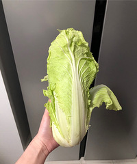 两周的菜还这么新鲜,大家来晒冰箱里最久的一棵菜