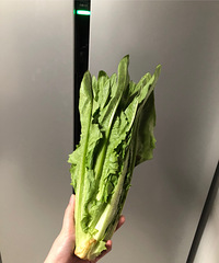 两周的菜还这么新鲜,大家来晒冰箱里最久的一棵菜