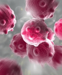 ������������ÿ�»�6000����������ôά������