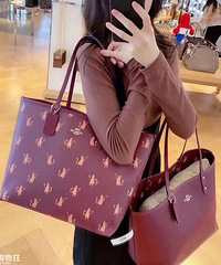 姐妹们帮我看下这两个coach托特包哪个好看! 买哪个?