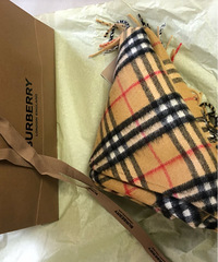 为新年准备却没有派上用场的MaxMara大衣和巴宝莉围巾