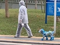 我都快戒掉网购了