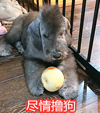 史上最长假期,一人一张图来晒晒你在家都干了些啥