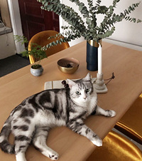 ��ʺ�ٵ�77ƽinsС�ѱ�ҵ�����õ�ɫ�����һؼҾ͸е�����