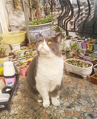 ���ڼ�������100������