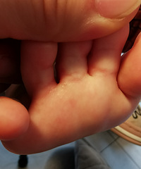 ϳʪûͼӰİ취֧