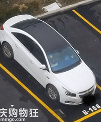 ����һ��2����ѩ������³�ȣ���������ʹ������£�ֵ������