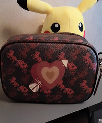 ��Ҳ����һ��½���յ��������Coach�¿������ĳ��ÿ�