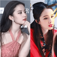 85花的颜值确实能打