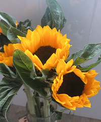 �����һ�򣡵�һ�������ʻ���������ġ�