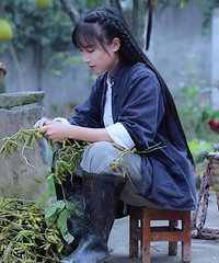看了李子柒的后院,明白为什么有2000万人羡慕她了