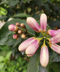 �ϼҵķ羰����Щ��֪���Ļ�����Щ����������Ϸ�����ǵò�