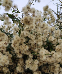 ϼҵķ羰Щ֪ĻЩϷǵò