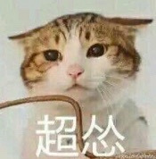 ��̺Ů���켣�ʱ�Ȧ�����Ϲ��£�