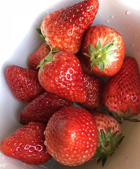 �����ڼ�ʵ���˲�ݮ���ɣ�������ݮ��������