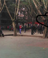 疫情期间小区不作为,可以举报吗?