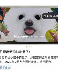 李佳琦狗狗Never代言完美日记,据说是李佳琦自己配色,买吗