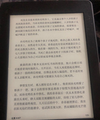 kindleܼ𣿳˸滹ܸɶ