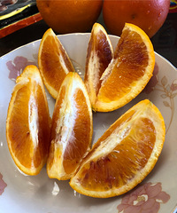 �������ڼұر�����ʳ�����������Сʱ���ζ������Ũ��