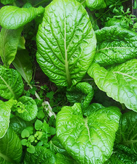 ССĲ˵Ҳճ裬ؼʱ߲ժֳ