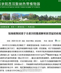 华南海鲜市场并非新冠病毒发源地
