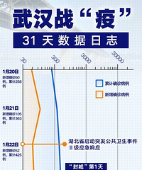 武汉战疫31天数据日志