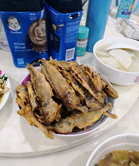 5��69��С����ը���԰��ݣ�����ζ��Ҳ��