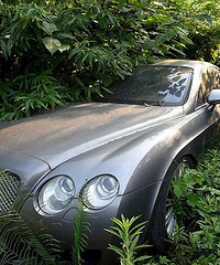 ������һ�����ҳ��쳤���ˣ��㿪�˺ö๫�