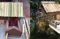 �Լ����ִũ��СԺ���깤Ч����ǰһ��