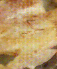 �·�������Ϯ��Ψ����ʳ���ɹ�����