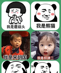 �Ա����˹��������Щ�����ء��Ĺ��ܣ�