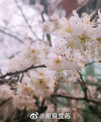 ���ͻ����Ͼ������¡���Ϣ����������