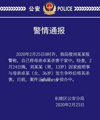 四川眉山13岁男孩争吵后杀死母亲