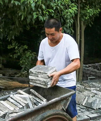 ɶݳ޷ӣ400OլԺ30Ķɭ֣ȴ20Ԫ¼