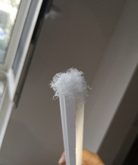 停工一个半月,墙面长了棉絮状的东西,这是什么情况?