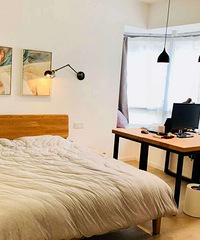 19��㶨113ƽ���������ܵƹ�͵綯����