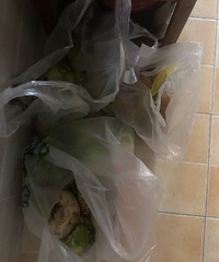 �����ϰ��������죬���ǽ�������ˣ�����������14����ô����