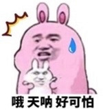 ��̺Ů������ʦ���ĺ���������