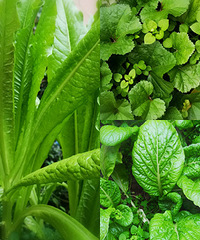 ֻ10ƽС˵أؼʱ߲ժֳ